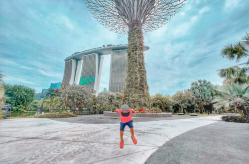 gardens by the bay, Singapore: activities to do with kids in Singapore